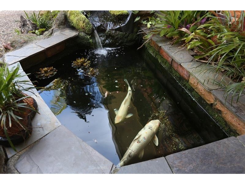 62 Greenfield Rd, Prairiewood NSW 2176