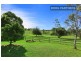 50 News Rd, Werombi NSW 2570