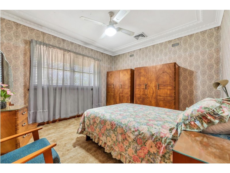 3 Prospect Road, Canley Vale NSW 2166