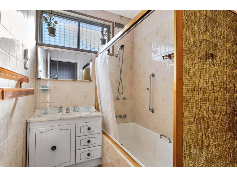 3 Prospect Road, Canley Vale NSW 2166