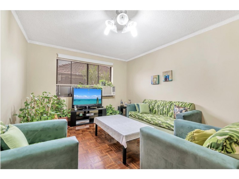 3 Huber Avenue, Cabramatta NSW 2166