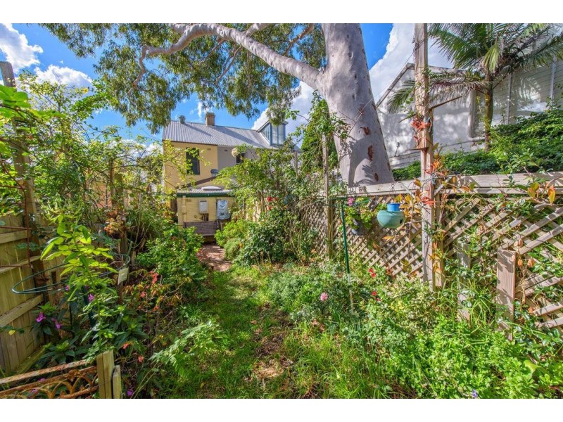 15 Caledonia Street, Paddington NSW 2021