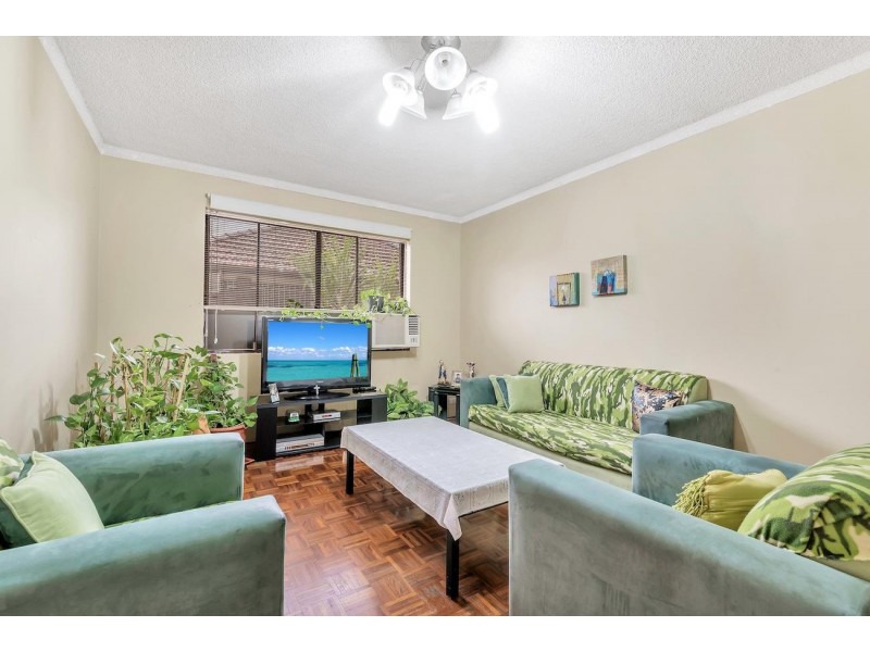 3/3 Huber Avenue, Cabramatta NSW 2166