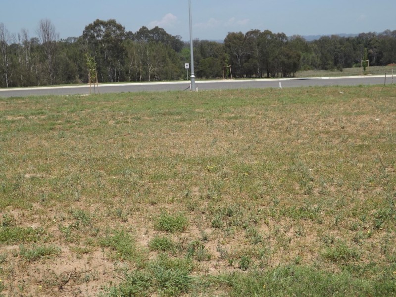 Lot 4556 Burrell Road, Spring Farm NSW 2570