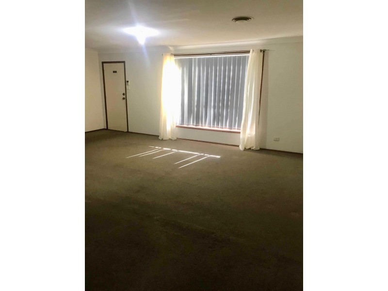 7 Debbie Circuit, Mount Druitt NSW 2770