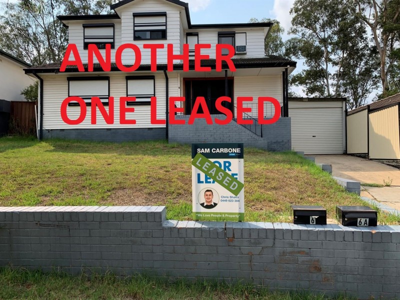 6 Alexandria Place, Busby NSW 2168