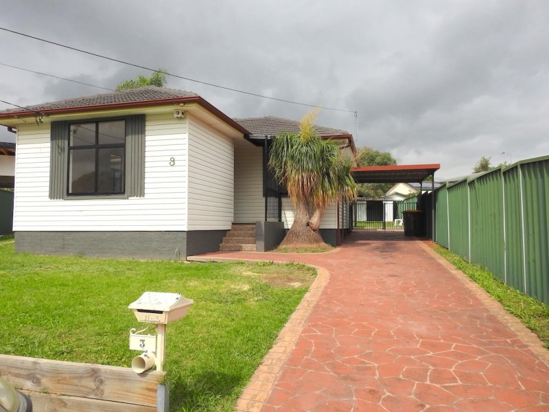 3 Amadio Place, Mount Pritchard NSW 2170