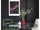 506/38 College  Street, Darlinghurst NSW 2010