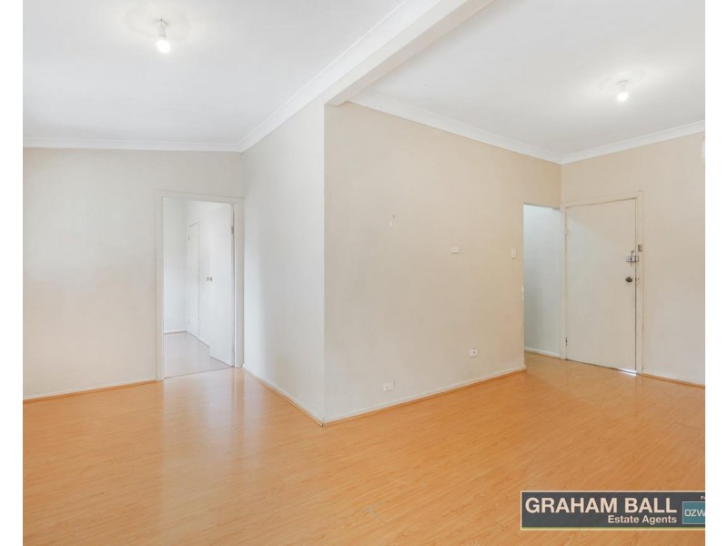 64 Anderson Avenue, Mount Pritchard NSW 2170