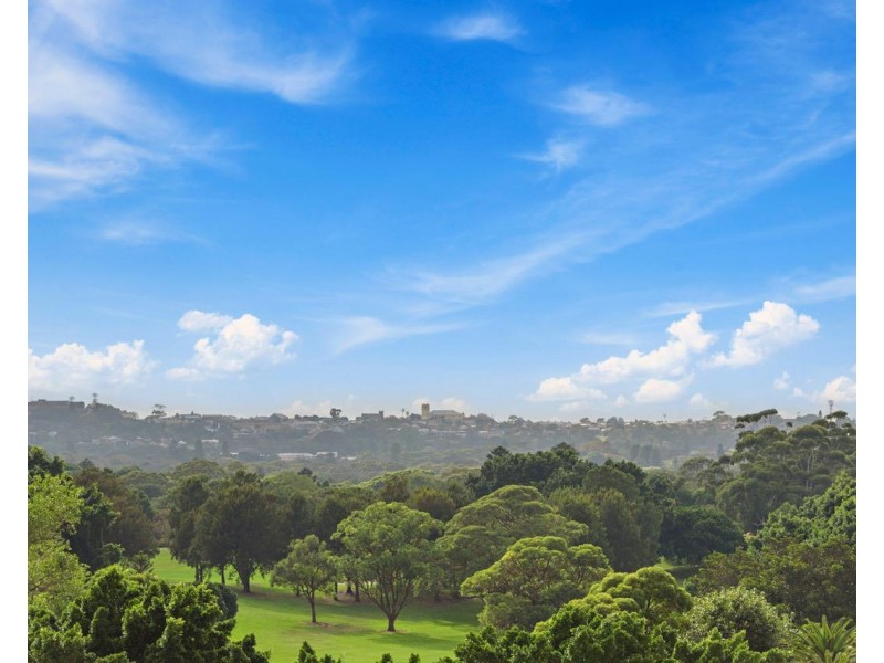 341/8 Lachlan Street, Waterloo NSW 2017