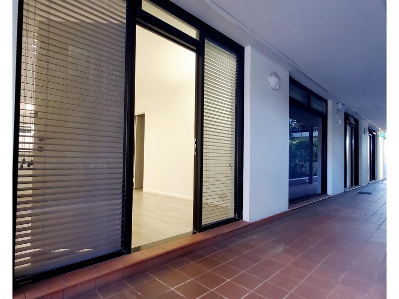 101/6-8 Ward Avenue, Elizabeth Bay NSW 2011