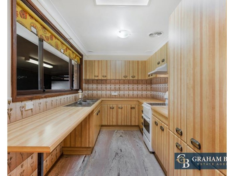 31 Borthwick Street, Minto NSW 2566