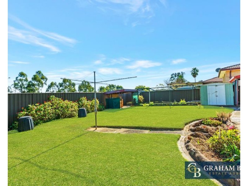 31 Borthwick Street, Minto NSW 2566