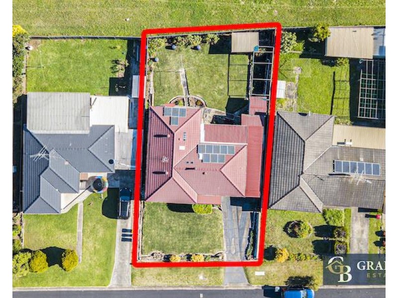 31 Borthwick Street, Minto NSW 2566