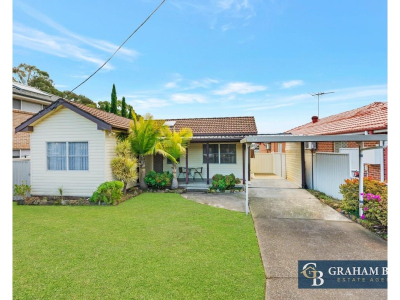 17 Anderson Avenue, Mount Pritchard NSW 2170