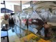 Cafe 1 Treelands Dr, Yamba NSW 2464