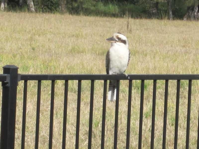 1 Harold Tory Dr, Yamba NSW 2464