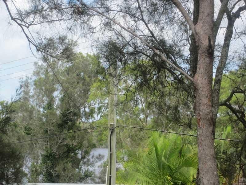 146a Lakes Bvd, Wooloweyah NSW 2464