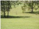 Lot 11 Pandana Cl, Lawrence NSW 2460