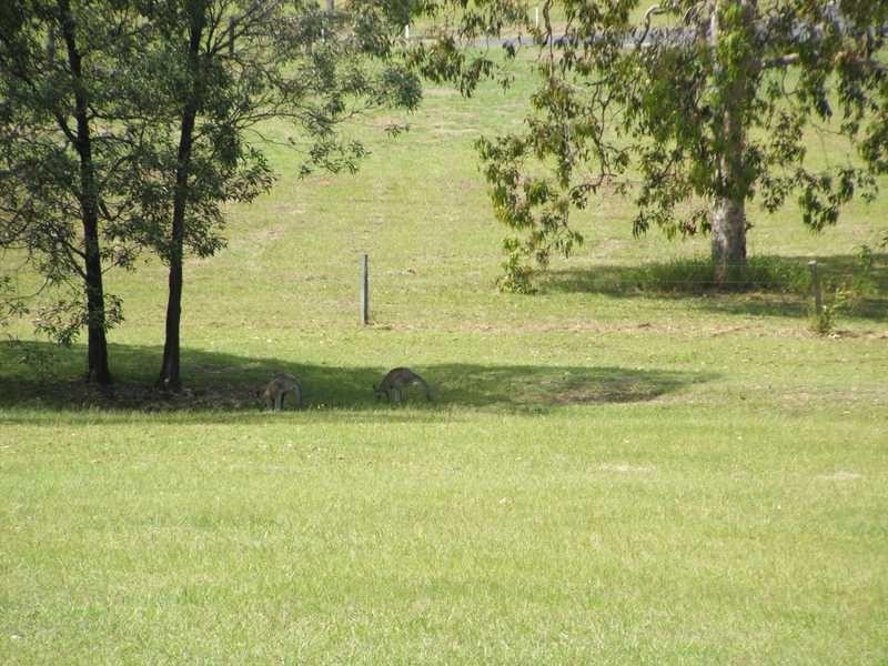 Lot 11 Pandana Cl, Lawrence NSW 2460