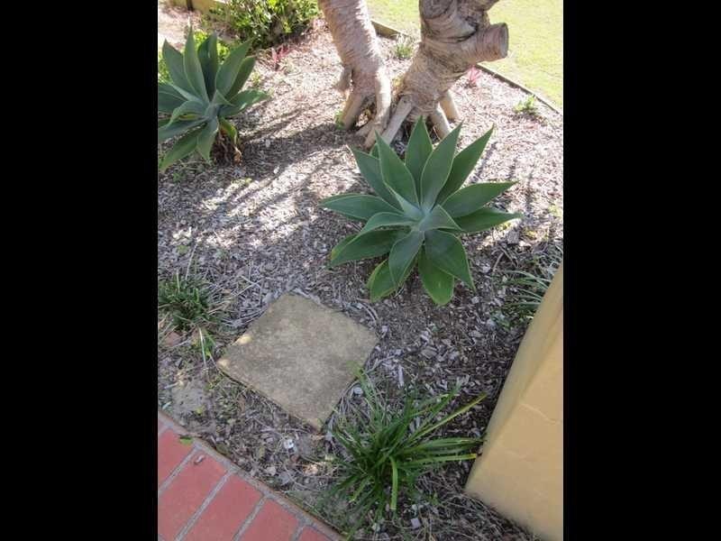 23 Oceania Ct, Yamba NSW 2464