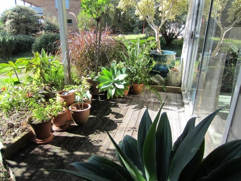 8 Shelley St, Angourie NSW 2464