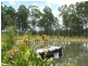 1063 Tullymorgan Rd, Ashby NSW 2463