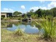 1063 Tullymorgan Rd, Ashby NSW 2463