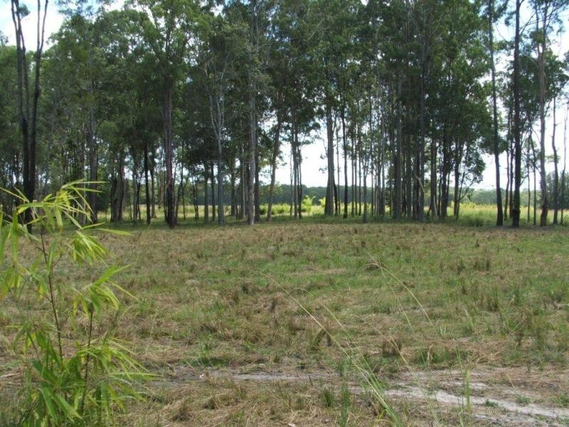 1063 Tullymorgan Rd, Ashby NSW 2463
