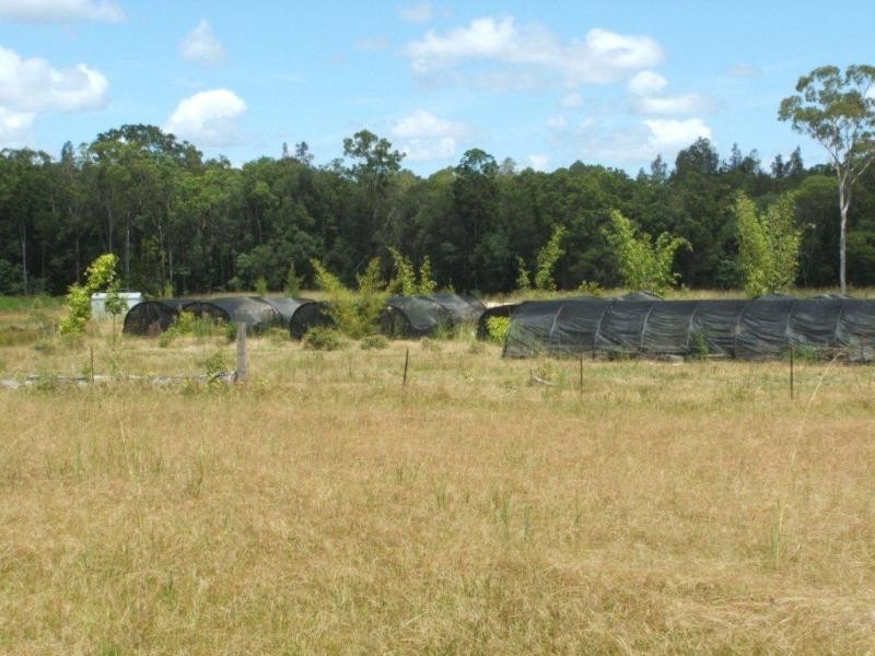 1063 Tullymorgan Rd, Ashby NSW 2463