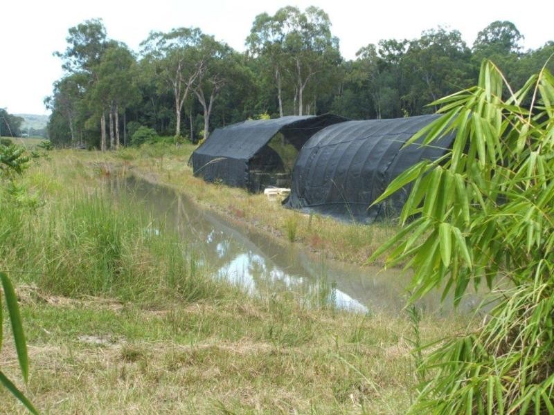 1063 Tullymorgan Rd, Ashby NSW 2463