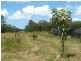 1063 Tullymorgan Rd, Ashby NSW 2463