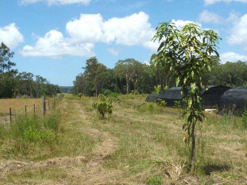 1063 Tullymorgan Rd, Ashby NSW 2463