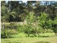 98 Tullymorgan  Rd, Ashby NSW 2463