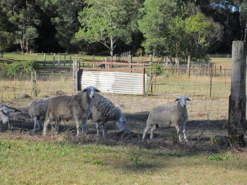 98 Tullymorgan Rd, Ashby NSW 2463