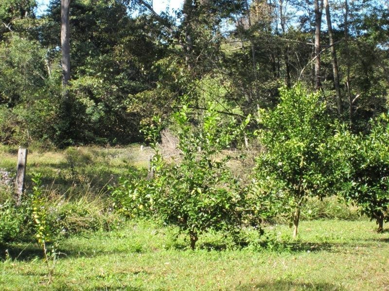 98 Tullymorgan Rd, Ashby NSW 2463
