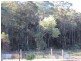 98 Tullymorgan Rd, Ashby NSW 2463