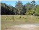 98 Tullymorgan Rd, Ashby NSW 2463