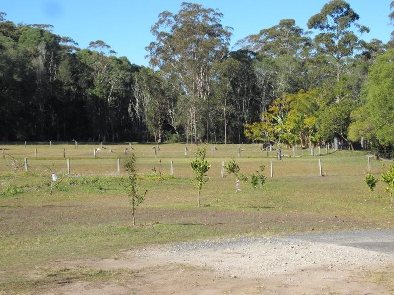 98 Tullymorgan Rd, Ashby NSW 2463