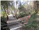98 Tullymorgan Rd, Ashby NSW 2463