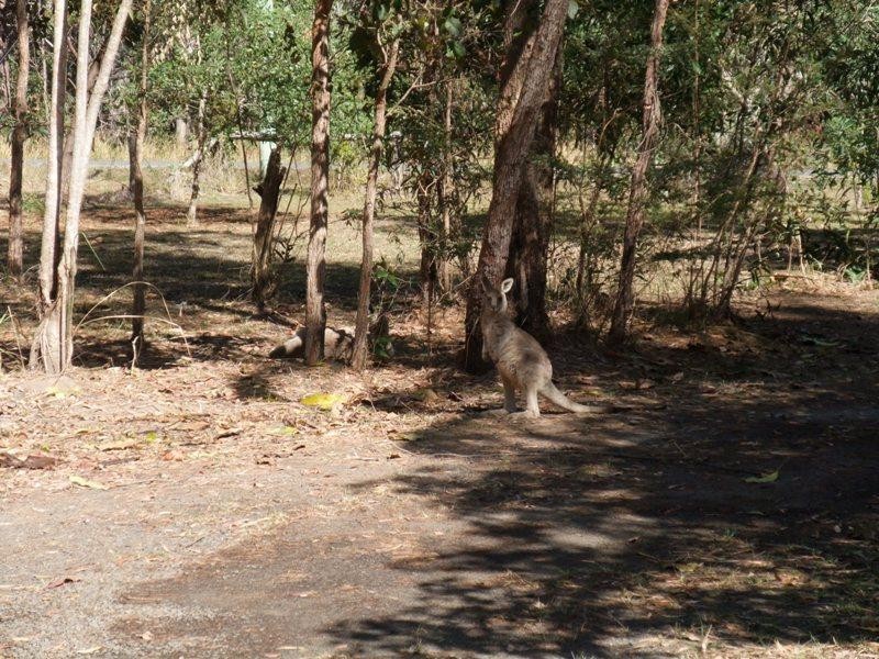 36 West St, Woombah NSW 2469