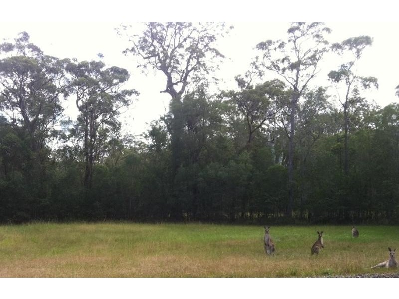 Lot 23 Morelia Way, Woombah NSW 2469