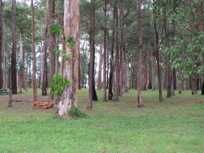 Site 42 Woombah Woods Caravan Pk, Woombah NSW 2469