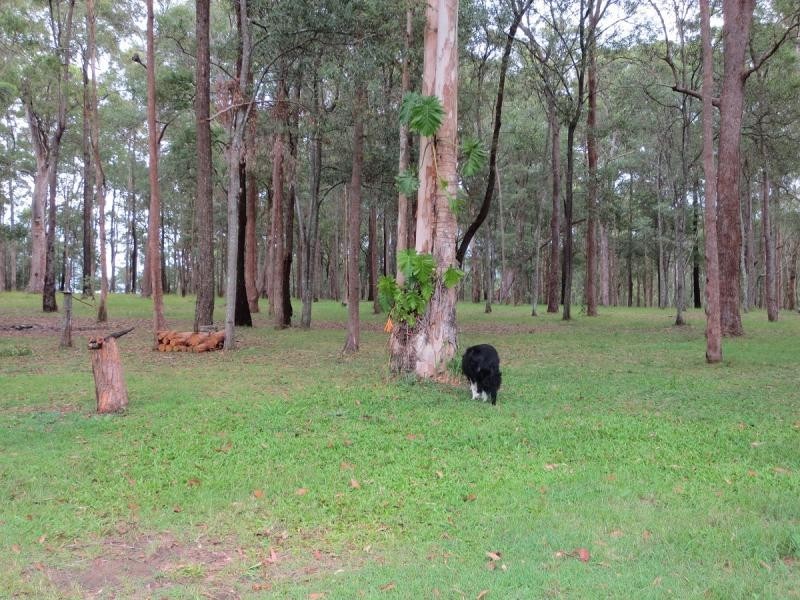 Site 42 Woombah Woods Caravan Pk, Woombah NSW 2469