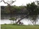 Lot 11 Micalo  Rd, Micalo Island NSW 2464