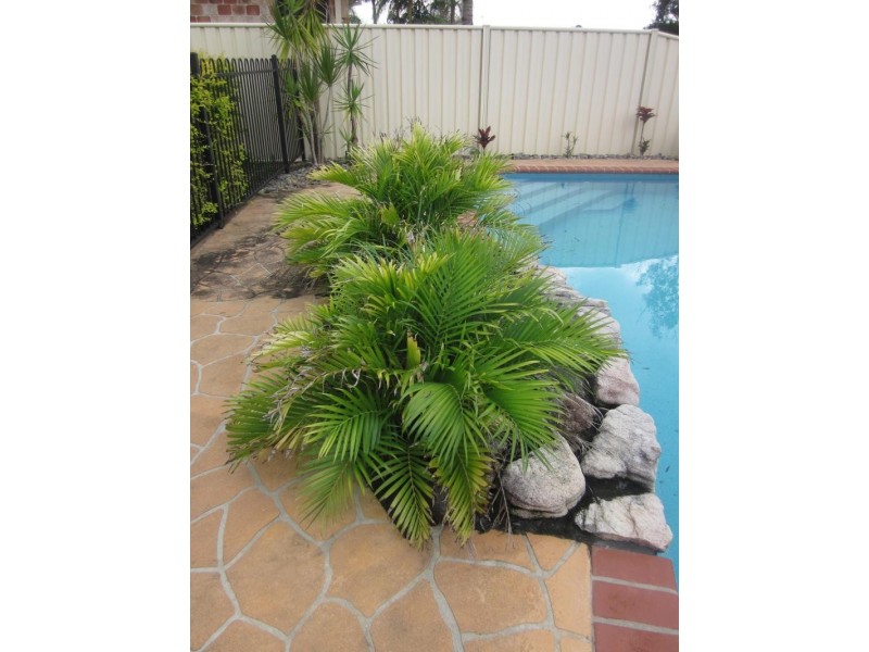 30 Bayview Dr, Yamba NSW 2464