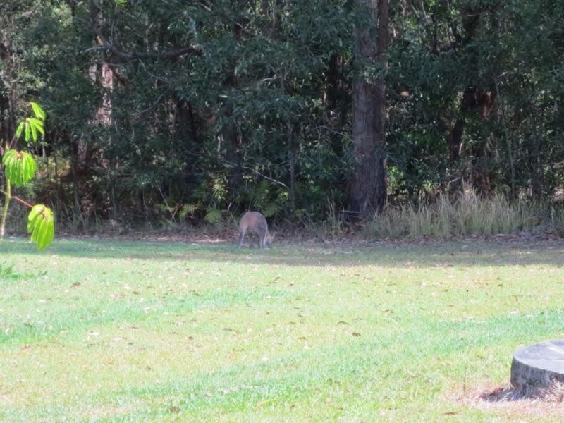 7 Kookaburra Ct, Woombah NSW 2469