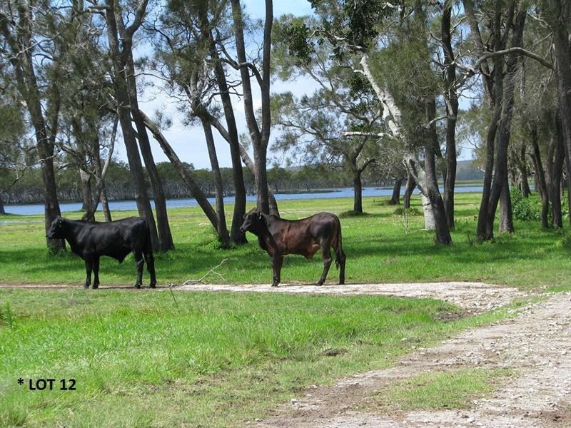 718 North Bank  Rd, Palmers Island NSW 2463