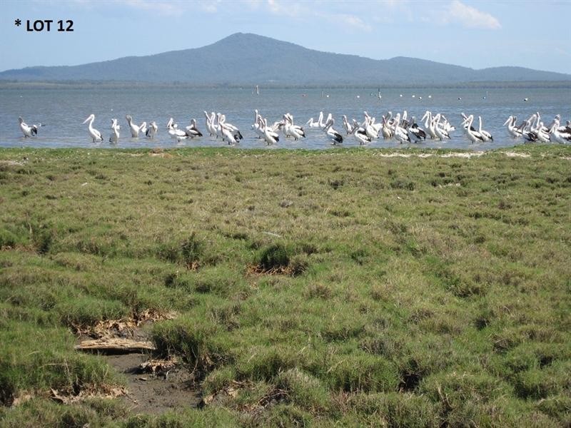 718 North Bank  Rd, Palmers Island NSW 2463