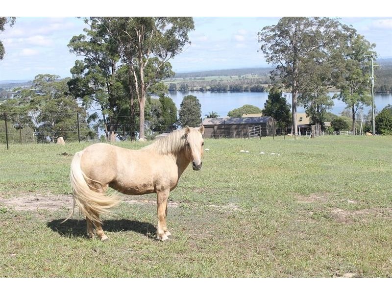 351 Patemans Rd, Ashby NSW 2463